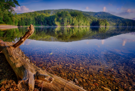 Embracing Summer in Stowe, Vermont: A Seasonal Delight